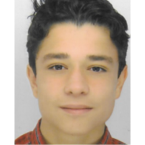 LECOMTE Arthur