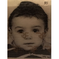 ROMEU MOUTON Noah